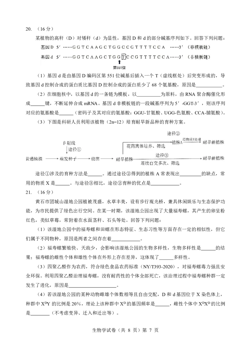 新八校联考2025-2026学年度上学期高二10月月考生物_2025年10月高二试卷_251019湖北省新八校联考2025-2026学年度上学期高二10月月考（全）