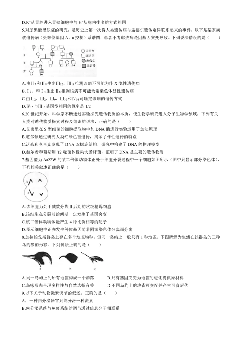 生物-河北省琢名小渔2025届&ldquo;五个一&rdquo;名校联盟高三年级第一次联考_2024-2025高三（6-6月题库）_2024年08月试卷_0811河北省琢名小渔2025届&ldquo;五个一&rdquo;名校联盟高三年级第一次联考