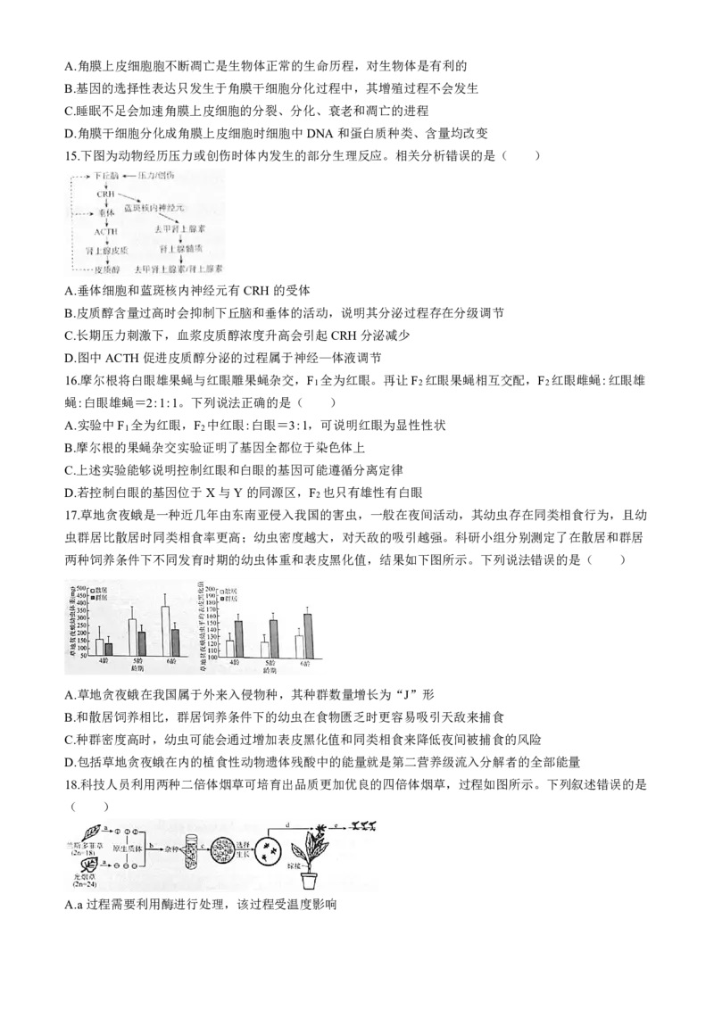 生物-河北省琢名小渔2025届&ldquo;五个一&rdquo;名校联盟高三年级第一次联考_2024-2025高三（6-6月题库）_2024年08月试卷_0811河北省琢名小渔2025届&ldquo;五个一&rdquo;名校联盟高三年级第一次联考