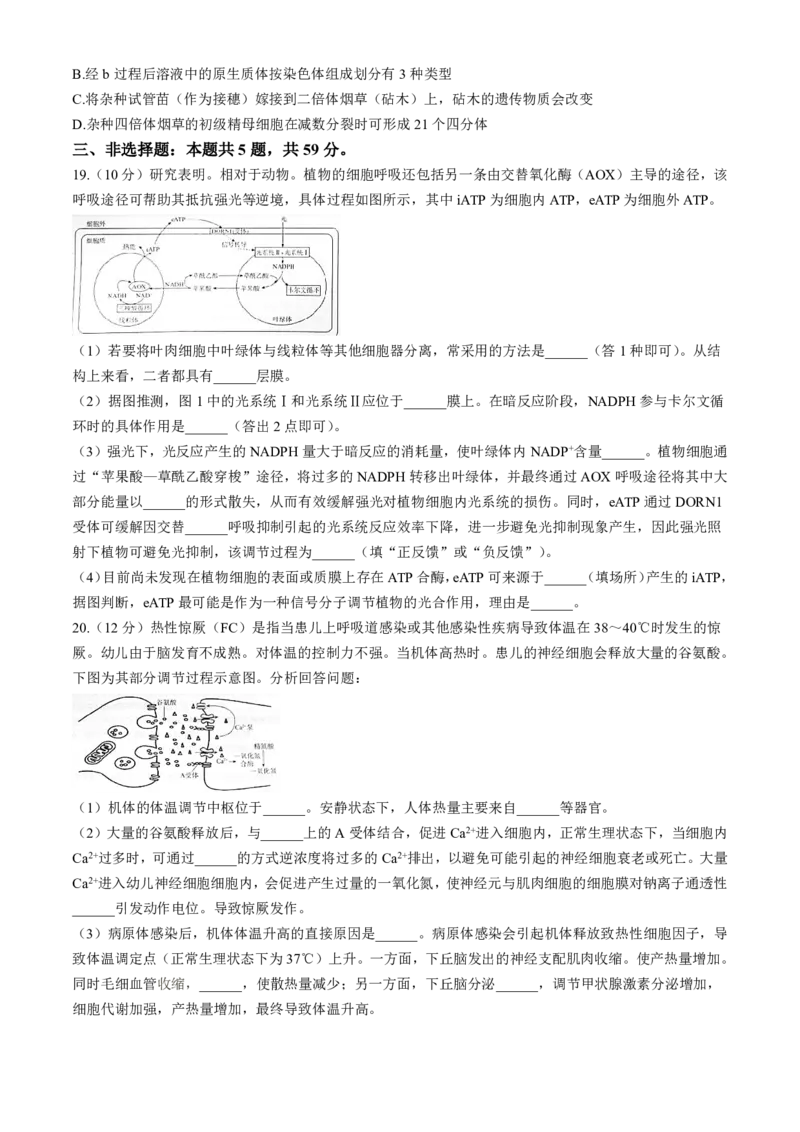 生物-河北省琢名小渔2025届&ldquo;五个一&rdquo;名校联盟高三年级第一次联考_2024-2025高三（6-6月题库）_2024年08月试卷_0811河北省琢名小渔2025届&ldquo;五个一&rdquo;名校联盟高三年级第一次联考
