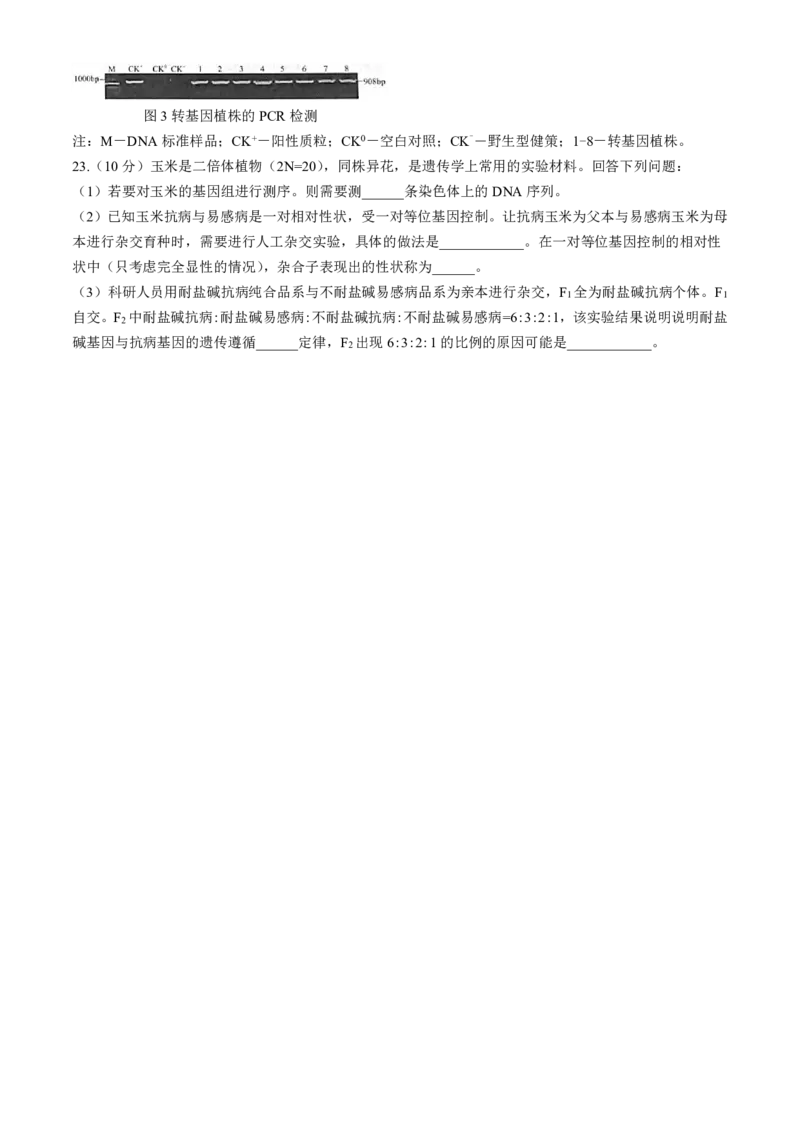 生物-河北省琢名小渔2025届&ldquo;五个一&rdquo;名校联盟高三年级第一次联考_2024-2025高三（6-6月题库）_2024年08月试卷_0811河北省琢名小渔2025届&ldquo;五个一&rdquo;名校联盟高三年级第一次联考