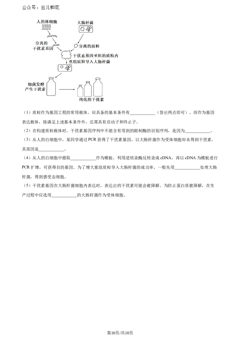 精品解析：湖北省2023-2024学年高二下学期7月期末考试生物试题（原卷版）_2024年07月试卷_0706湖北省部分市州2024年春季高二年级期末教学质量监测（湖北春季高二期末）