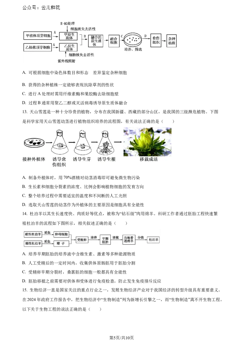 精品解析：湖北省2023-2024学年高二下学期7月期末考试生物试题（原卷版）_2024年07月试卷_0706湖北省部分市州2024年春季高二年级期末教学质量监测（湖北春季高二期末）