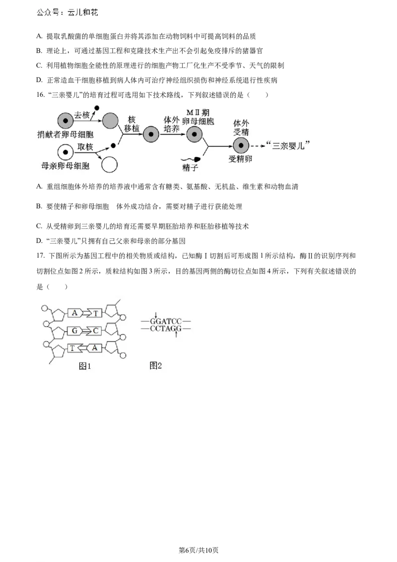 精品解析：湖北省2023-2024学年高二下学期7月期末考试生物试题（原卷版）_2024年07月试卷_0706湖北省部分市州2024年春季高二年级期末教学质量监测（湖北春季高二期末）