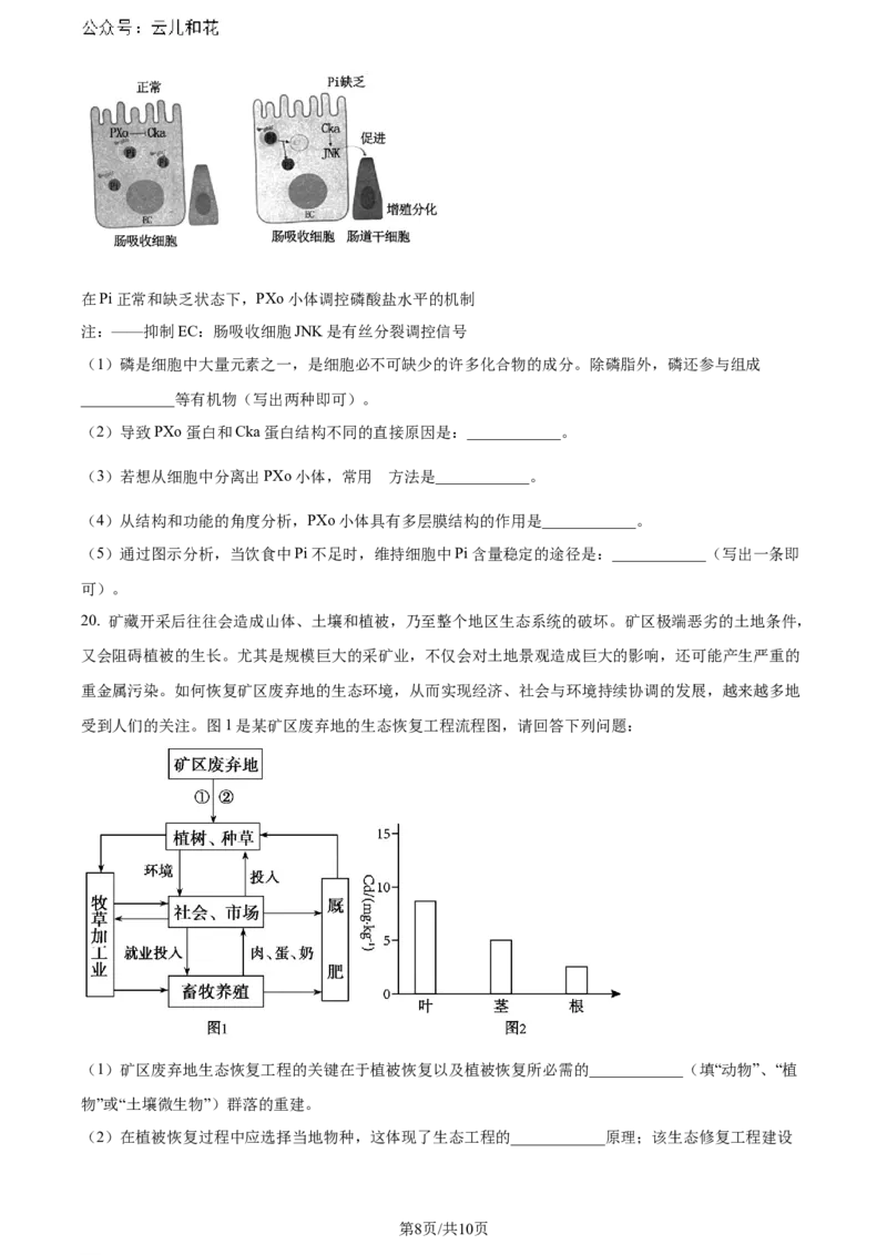 精品解析：湖北省2023-2024学年高二下学期7月期末考试生物试题（原卷版）_2024年07月试卷_0706湖北省部分市州2024年春季高二年级期末教学质量监测（湖北春季高二期末）