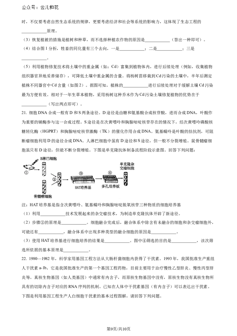精品解析：湖北省2023-2024学年高二下学期7月期末考试生物试题（原卷版）_2024年07月试卷_0706湖北省部分市州2024年春季高二年级期末教学质量监测（湖北春季高二期末）