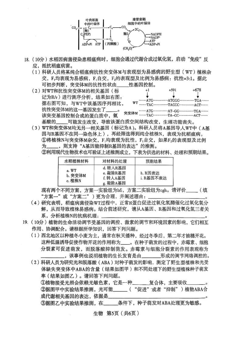 陕西省宝鸡市2025届高三高考模拟检测试题（三）生物试卷（含答案）_2024-2025高三（6-6月题库）_2025年04月试卷_0422陕西省宝鸡市2025届高三高考模拟检测试题（三）