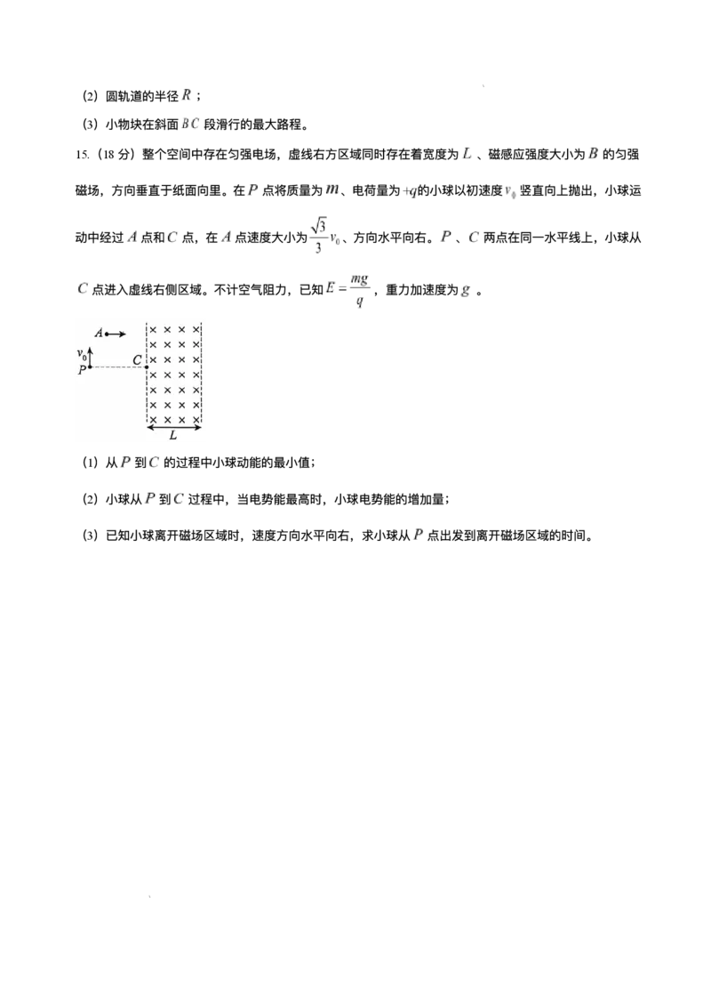 湖北省武汉市江岸区2024-2025学年高三上学期11月调考物理试卷_2024-2025高三（6-6月题库）_2024年11月试卷_1118湖北省武汉市江岸区2024-2025学年高三上学期11月调研考试（全科）