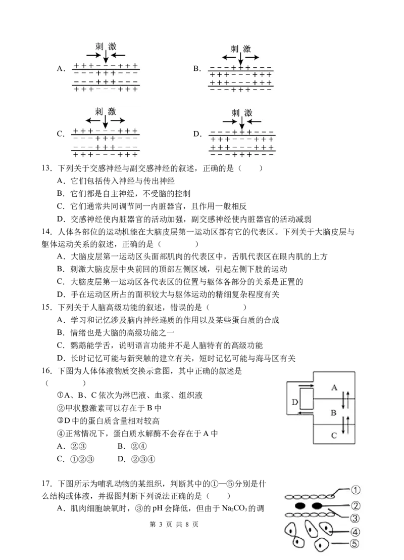 生物_2025年10月高二试卷_251027四川省遂宁市射洪中学2025-2026学年高二上学期10月月考试题（全）_四川省遂宁市射洪中学2025-2026学年高二上学期10月月考试题生物Word版含答案