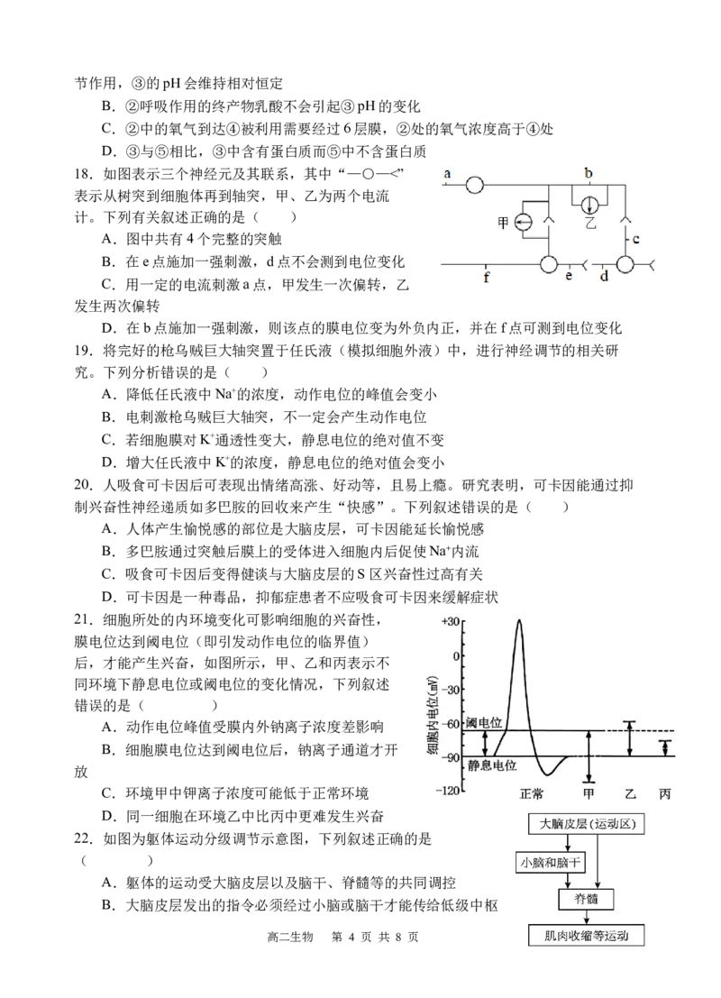 生物_2025年10月高二试卷_251027四川省遂宁市射洪中学2025-2026学年高二上学期10月月考试题（全）_四川省遂宁市射洪中学2025-2026学年高二上学期10月月考试题生物Word版含答案