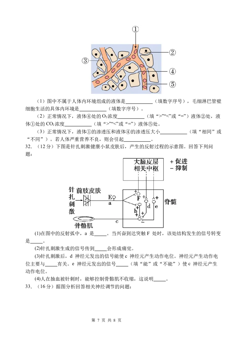 生物_2025年10月高二试卷_251027四川省遂宁市射洪中学2025-2026学年高二上学期10月月考试题（全）_四川省遂宁市射洪中学2025-2026学年高二上学期10月月考试题生物Word版含答案