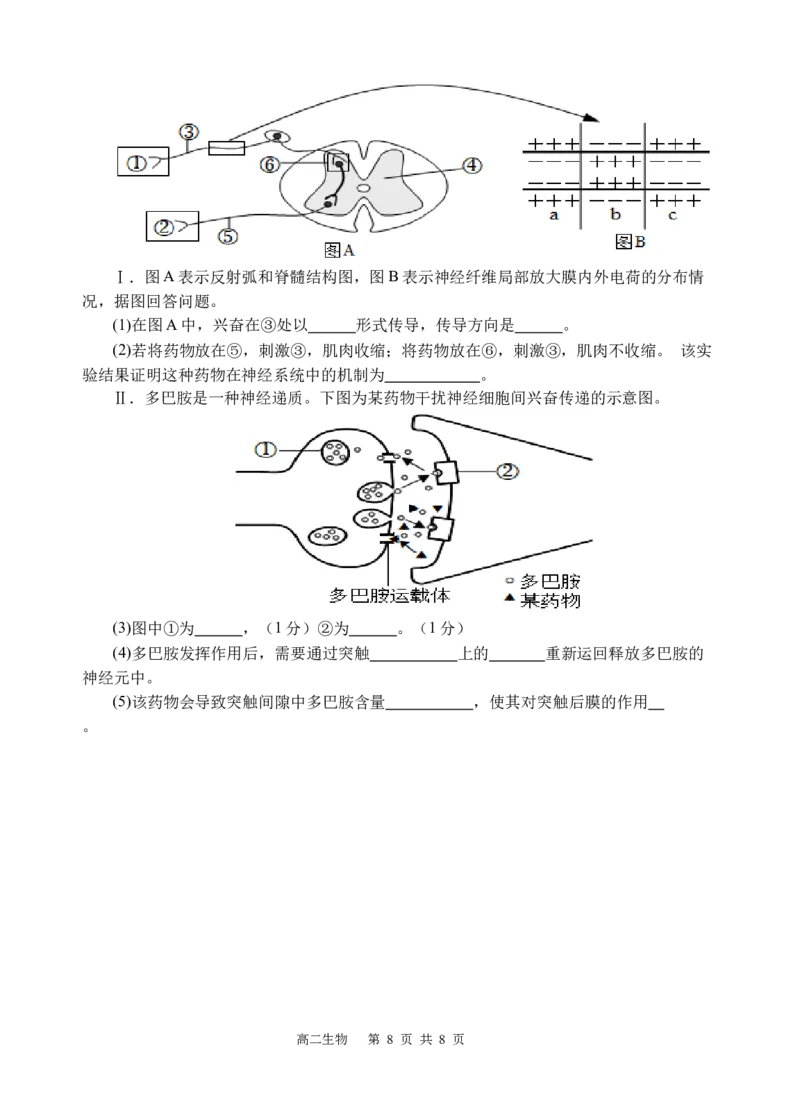 生物_2025年10月高二试卷_251027四川省遂宁市射洪中学2025-2026学年高二上学期10月月考试题（全）_四川省遂宁市射洪中学2025-2026学年高二上学期10月月考试题生物Word版含答案