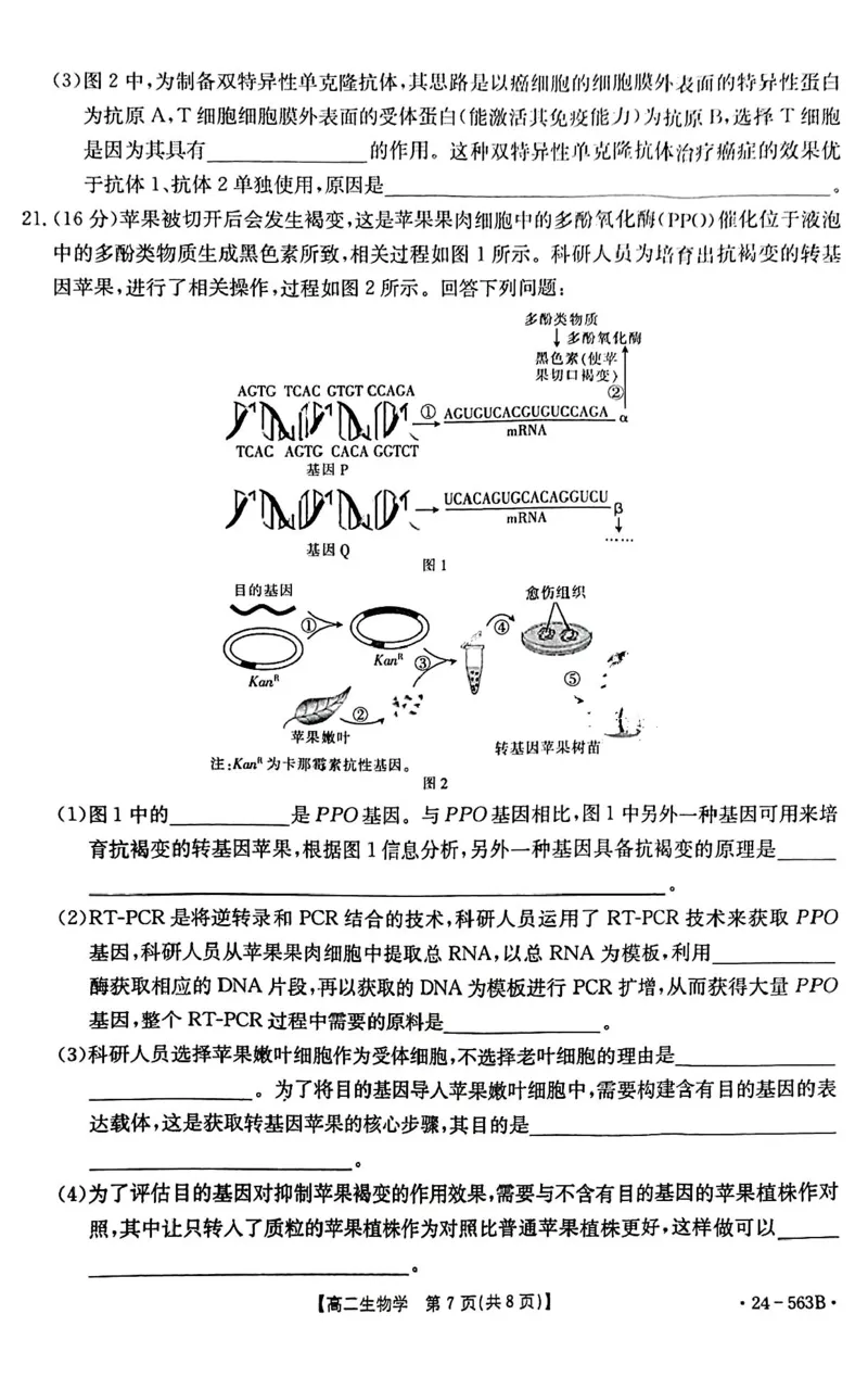 生物_2024-2025高二（7-7月题库）_2024年07月试卷_0701湖北省十堰市2023-2024学年高二下学期6月期末调研考试_湖北省十堰市2023-2024学年高二下学期6月期末调研考试生物