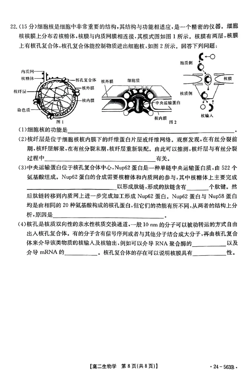 生物_2024-2025高二（7-7月题库）_2024年07月试卷_0701湖北省十堰市2023-2024学年高二下学期6月期末调研考试_湖北省十堰市2023-2024学年高二下学期6月期末调研考试生物
