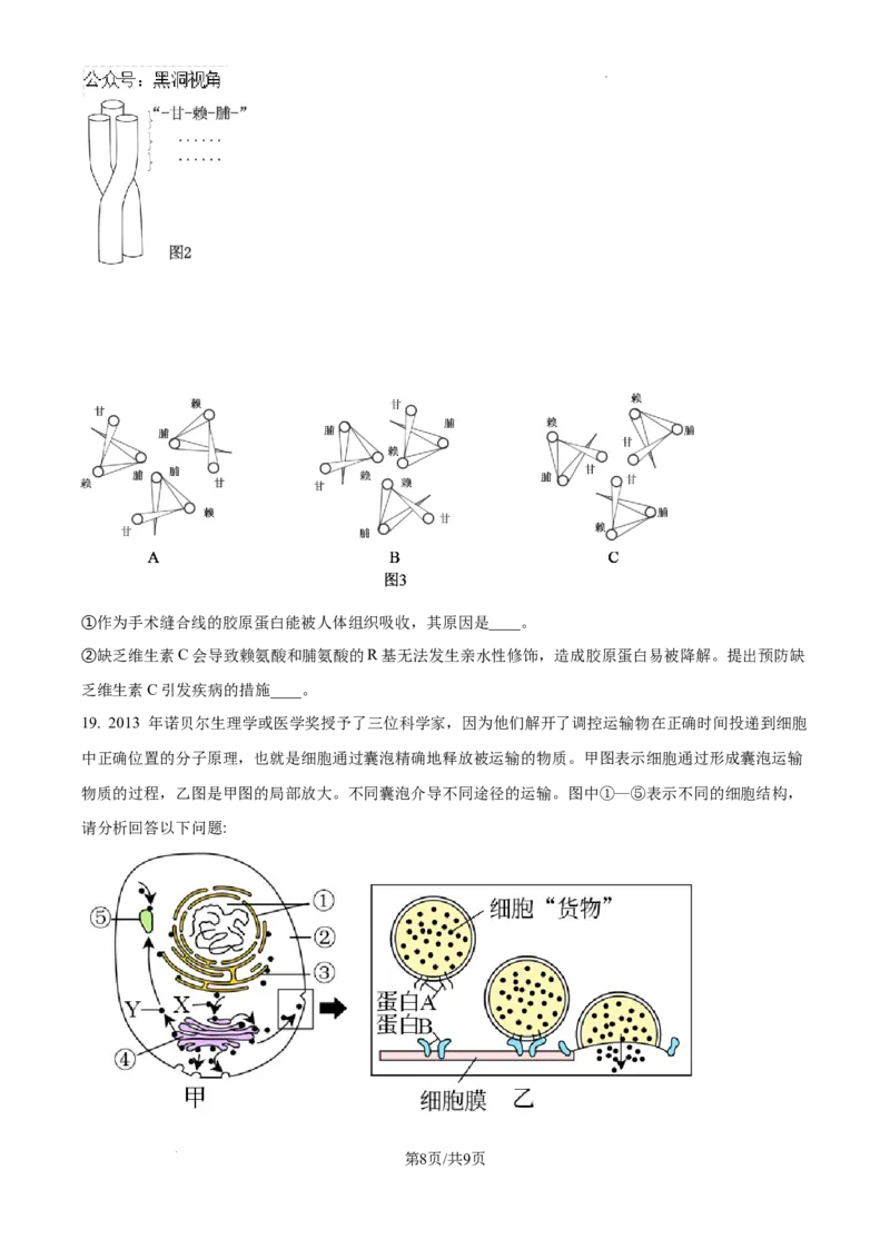 海南省琼海市嘉积中学2024--2025学年高三上学期开学考试生物试题（试卷版）_2024-2025高三（6-6月题库）_2024年09月试卷_0909海南省海南中学+嘉积中学2024-2025学年高三上学期开学考试