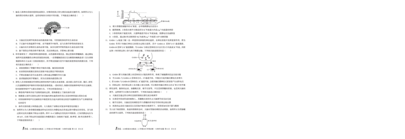 （A卷）1号卷&middot;A10联盟2024级高二上学期10月学情诊断生物学A_2025年10月高二试卷_251017安徽省1号卷&middot;A10联盟2024级高二上学期10月学情诊断（全）