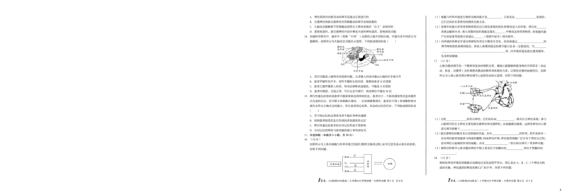 （A卷）1号卷&middot;A10联盟2024级高二上学期10月学情诊断生物学A_2025年10月高二试卷_251017安徽省1号卷&middot;A10联盟2024级高二上学期10月学情诊断（全）