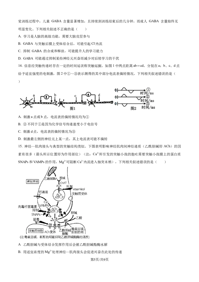 精品解析：四川省达州市外国语学校2025-2026学年高二上学期9月月考生物试题（原卷版）_2025年10月高二试卷_251010四川省达州市外国语学校2025-2026学年高二上学期9月月考