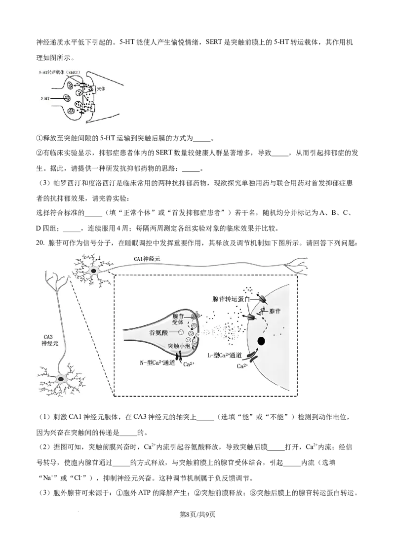 精品解析：四川省达州市外国语学校2025-2026学年高二上学期9月月考生物试题（原卷版）_2025年10月高二试卷_251010四川省达州市外国语学校2025-2026学年高二上学期9月月考