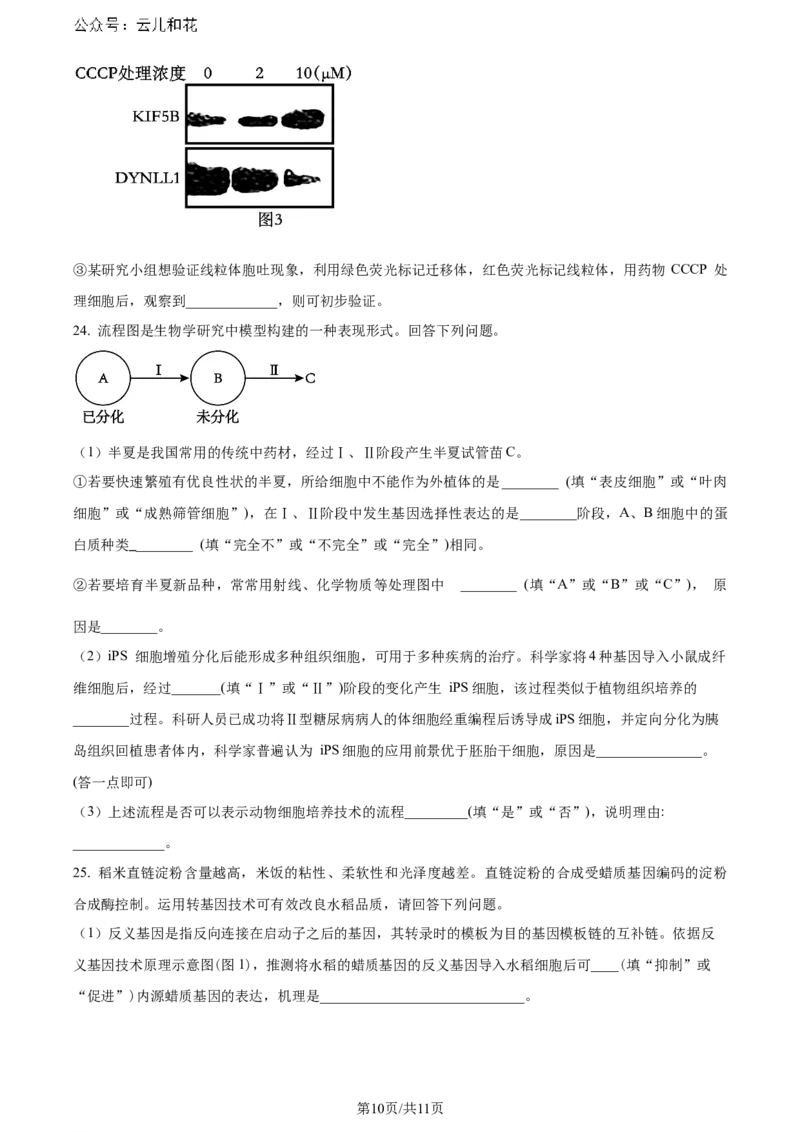 精品解析：辽宁省大连市2023-2024学年高二下学期期末考试生物学试题（原卷版）_2024-2025高二（7-7月题库）_2024年07月试卷_0724辽宁省大连市2023_2024学年高二下学期期末考试