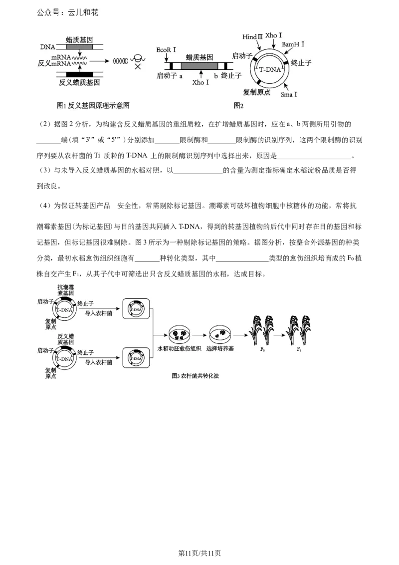 精品解析：辽宁省大连市2023-2024学年高二下学期期末考试生物学试题（原卷版）_2024-2025高二（7-7月题库）_2024年07月试卷_0724辽宁省大连市2023_2024学年高二下学期期末考试