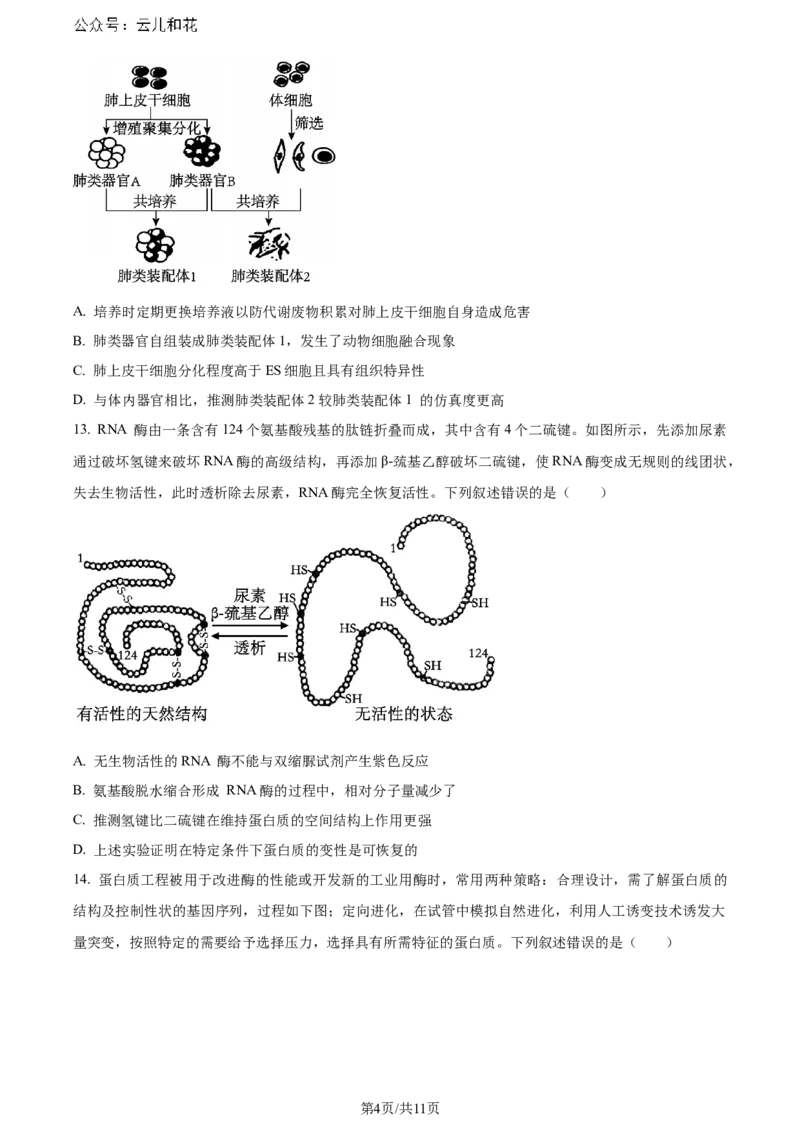 精品解析：辽宁省大连市2023-2024学年高二下学期期末考试生物学试题（原卷版）_2024-2025高二（7-7月题库）_2024年07月试卷_0724辽宁省大连市2023_2024学年高二下学期期末考试