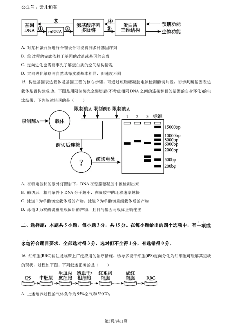 精品解析：辽宁省大连市2023-2024学年高二下学期期末考试生物学试题（原卷版）_2024-2025高二（7-7月题库）_2024年07月试卷_0724辽宁省大连市2023_2024学年高二下学期期末考试
