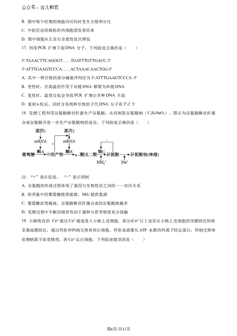 精品解析：辽宁省大连市2023-2024学年高二下学期期末考试生物学试题（原卷版）_2024-2025高二（7-7月题库）_2024年07月试卷_0724辽宁省大连市2023_2024学年高二下学期期末考试