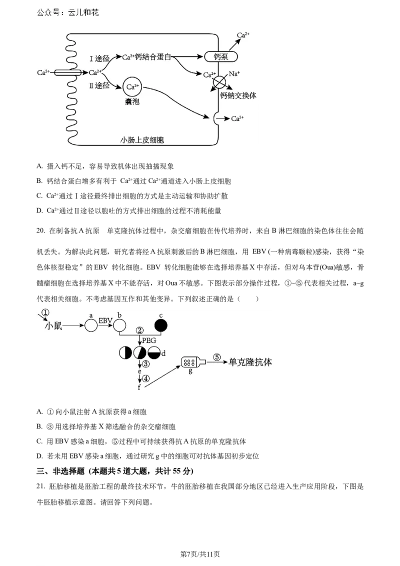 精品解析：辽宁省大连市2023-2024学年高二下学期期末考试生物学试题（原卷版）_2024-2025高二（7-7月题库）_2024年07月试卷_0724辽宁省大连市2023_2024学年高二下学期期末考试
