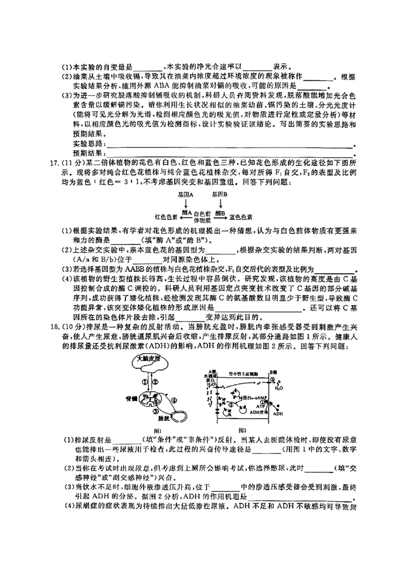 生物_2024-2025高三（6-6月题库）_2024年12月试卷_1220安徽省皖南八校2024-2025学年高三上学期第二次大联考_安徽省皖南八校2024-2025学年高三上学期第二次大联考生物