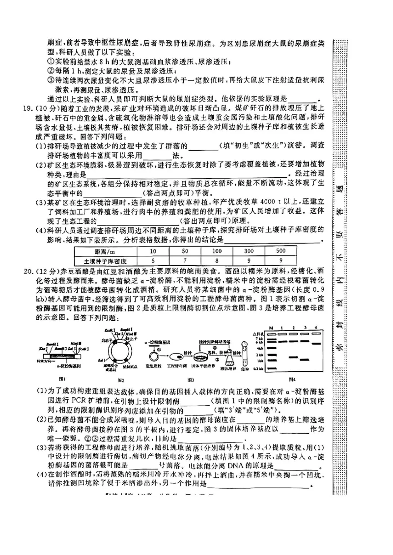 生物_2024-2025高三（6-6月题库）_2024年12月试卷_1220安徽省皖南八校2024-2025学年高三上学期第二次大联考_安徽省皖南八校2024-2025学年高三上学期第二次大联考生物