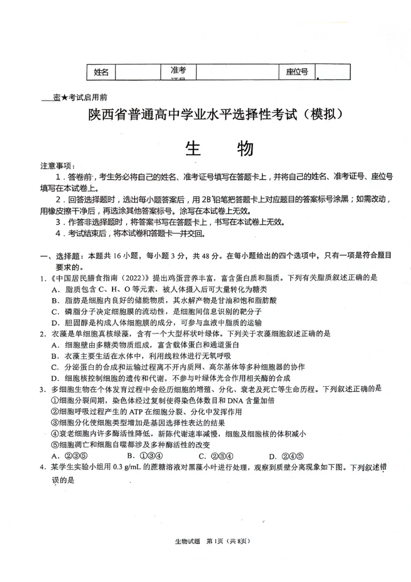 陕西省2024-2025学年高三上学期开学考试生物试题_2024-2025高三（6-6月题库）_2024年09月试卷_0922陕西省普通高中学业水平选择性调研考试（9月开学模拟）