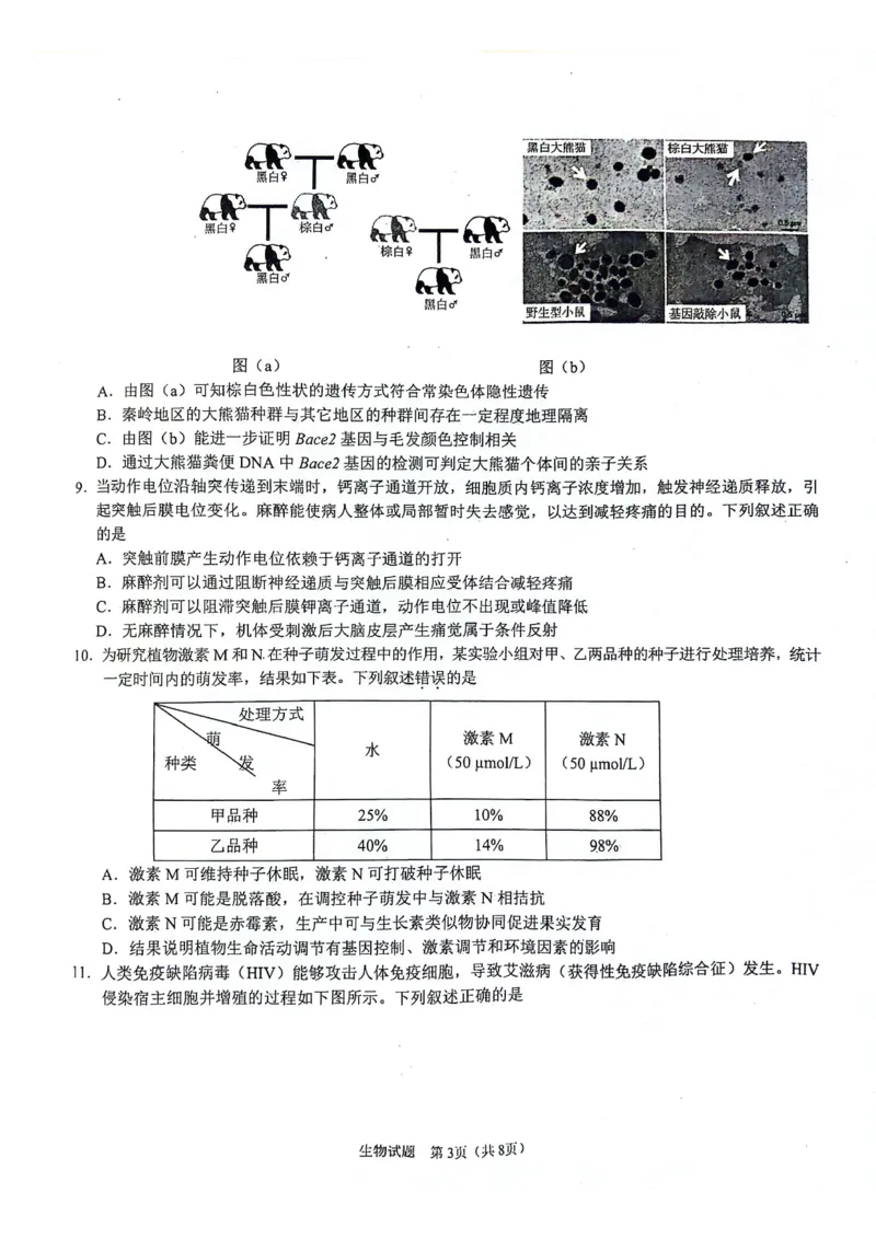 陕西省2024-2025学年高三上学期开学考试生物试题_2024-2025高三（6-6月题库）_2024年09月试卷_0922陕西省普通高中学业水平选择性调研考试（9月开学模拟）