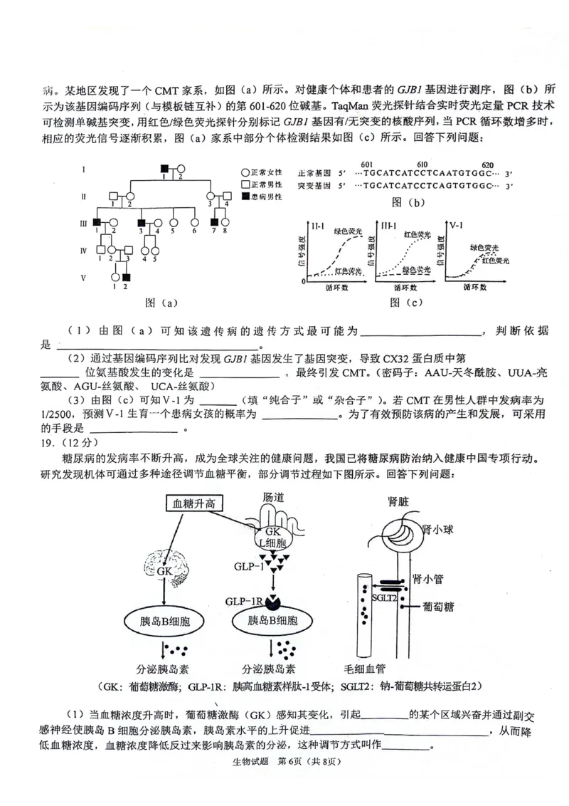 陕西省2024-2025学年高三上学期开学考试生物试题_2024-2025高三（6-6月题库）_2024年09月试卷_0922陕西省普通高中学业水平选择性调研考试（9月开学模拟）