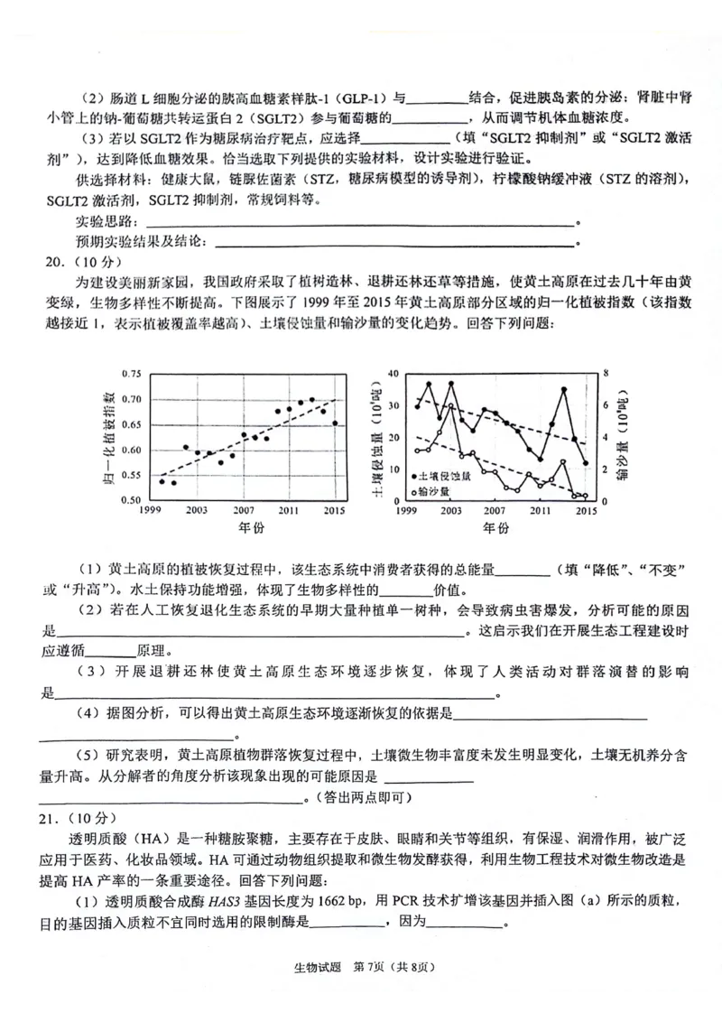 陕西省2024-2025学年高三上学期开学考试生物试题_2024-2025高三（6-6月题库）_2024年09月试卷_0922陕西省普通高中学业水平选择性调研考试（9月开学模拟）