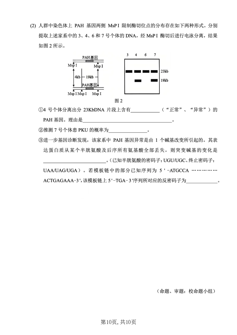 西南大学附中一诊模拟考试生物_2024-2025高三（6-6月题库）_2024年12月试卷_1226重庆西南大学附中2025届高三12月一诊模拟考试（全科）_西南大学附中高2025届高三上12月一诊模拟考试生物