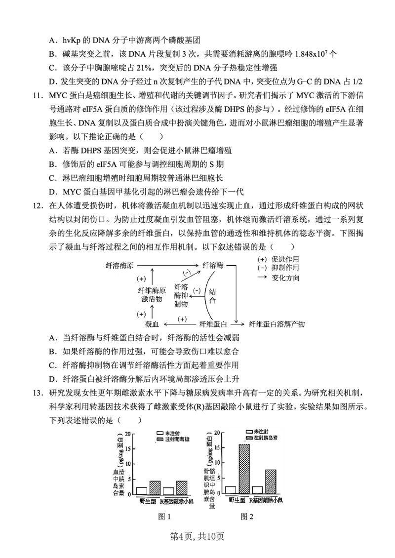 西南大学附中一诊模拟考试生物_2024-2025高三（6-6月题库）_2024年12月试卷_1226重庆西南大学附中2025届高三12月一诊模拟考试（全科）_西南大学附中高2025届高三上12月一诊模拟考试生物
