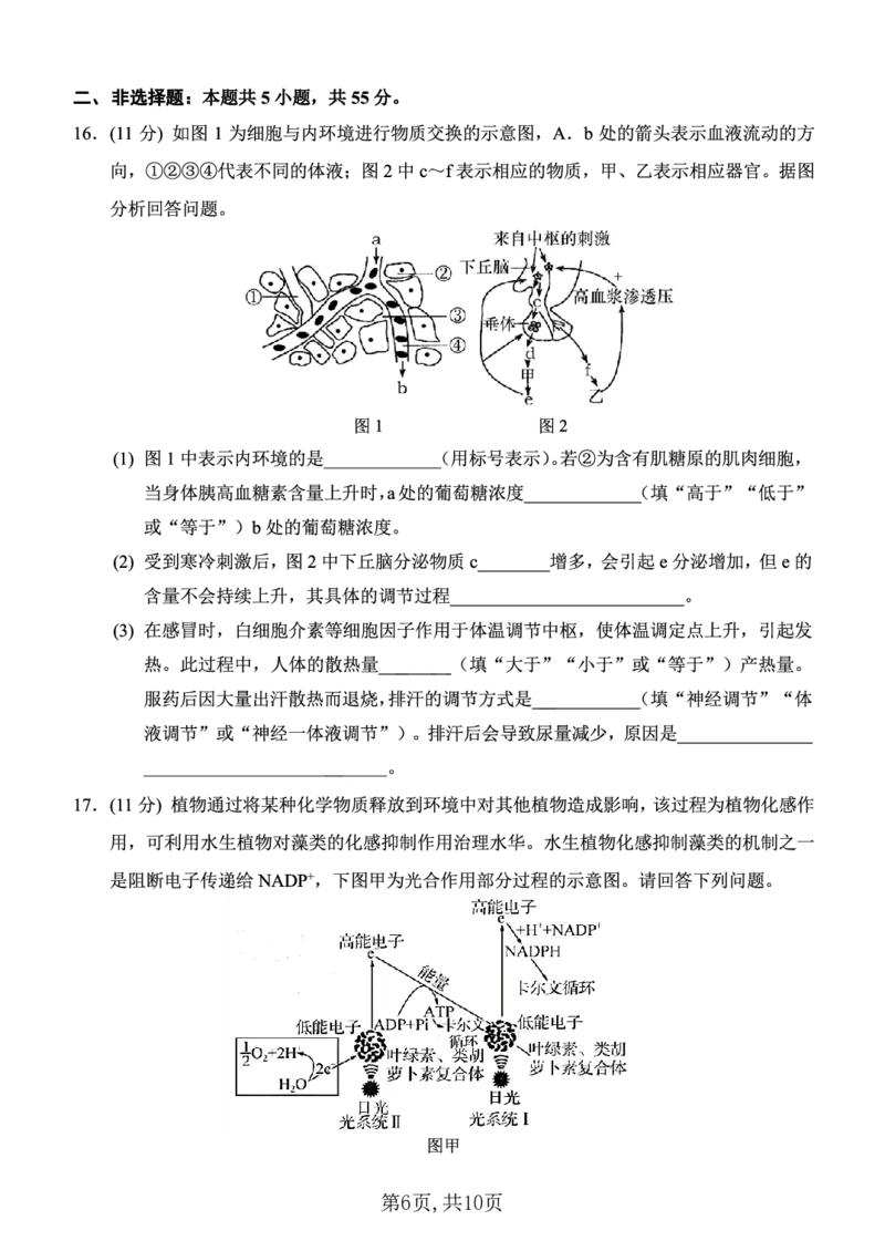 西南大学附中一诊模拟考试生物_2024-2025高三（6-6月题库）_2024年12月试卷_1226重庆西南大学附中2025届高三12月一诊模拟考试（全科）_西南大学附中高2025届高三上12月一诊模拟考试生物