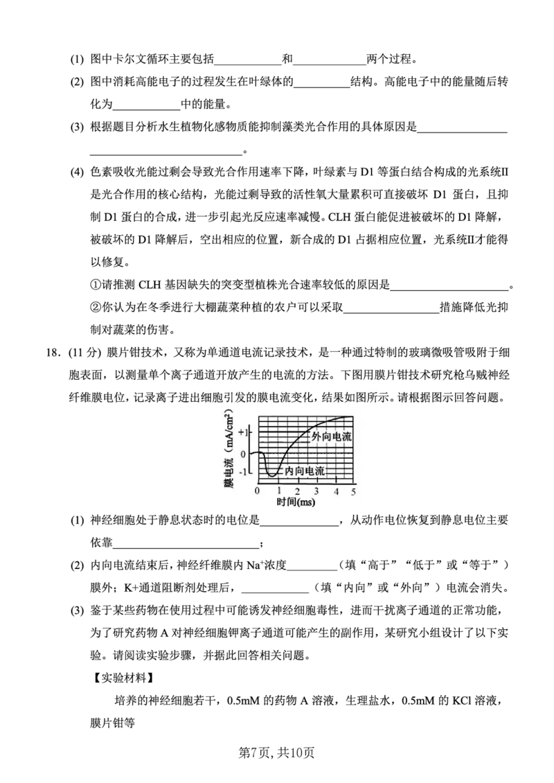 西南大学附中一诊模拟考试生物_2024-2025高三（6-6月题库）_2024年12月试卷_1226重庆西南大学附中2025届高三12月一诊模拟考试（全科）_西南大学附中高2025届高三上12月一诊模拟考试生物