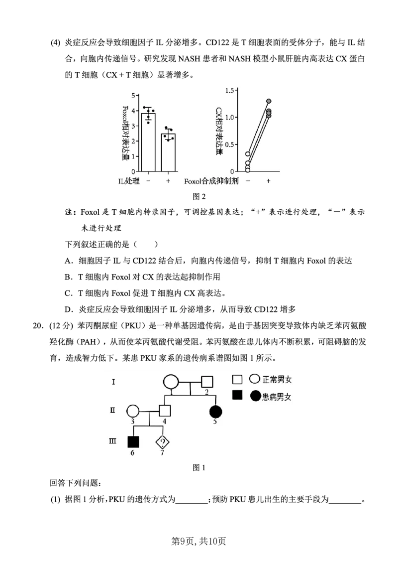 西南大学附中一诊模拟考试生物_2024-2025高三（6-6月题库）_2024年12月试卷_1226重庆西南大学附中2025届高三12月一诊模拟考试（全科）_西南大学附中高2025届高三上12月一诊模拟考试生物