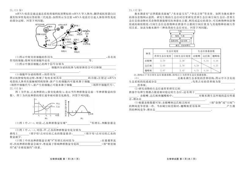 高二上学期生物正文_251227河北省衡水金卷2025&mdash;2026学年承德联盟校高二上学期第三次月考（全）