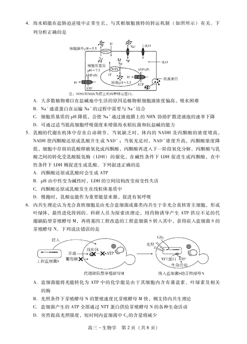肇庆2025届高三一模&middot;生物学试卷_2024-2025高三（6-6月题库）_2024年11月试卷_1110广东省肇庆市2025届高中毕业班第一次模拟考试
