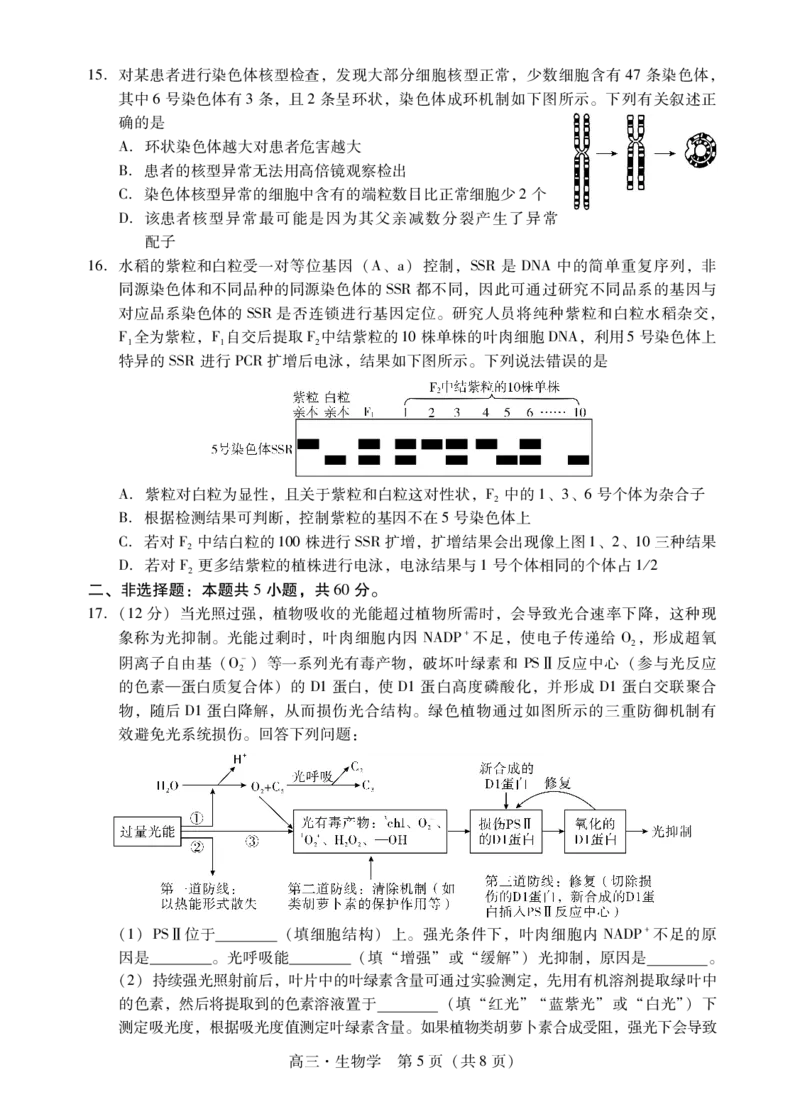 肇庆2025届高三一模&middot;生物学试卷_2024-2025高三（6-6月题库）_2024年11月试卷_1110广东省肇庆市2025届高中毕业班第一次模拟考试