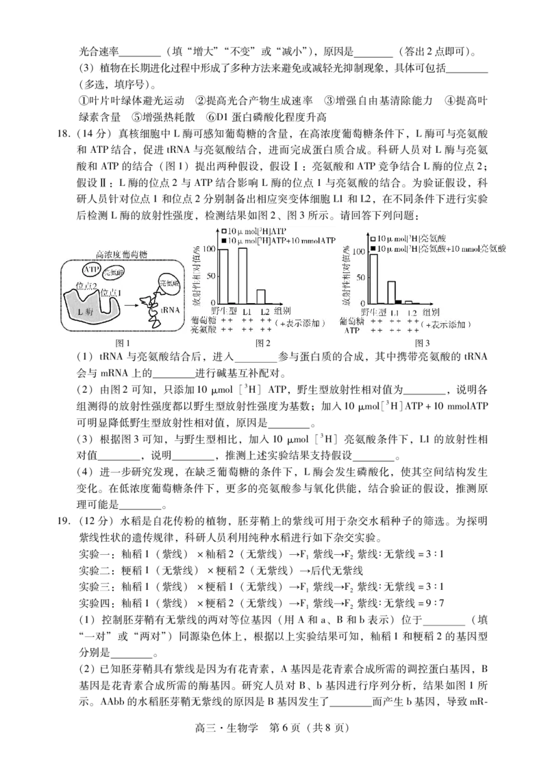 肇庆2025届高三一模&middot;生物学试卷_2024-2025高三（6-6月题库）_2024年11月试卷_1110广东省肇庆市2025届高中毕业班第一次模拟考试