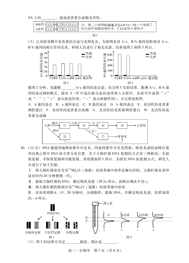 肇庆2025届高三一模&middot;生物学试卷_2024-2025高三（6-6月题库）_2024年11月试卷_1110广东省肇庆市2025届高中毕业班第一次模拟考试