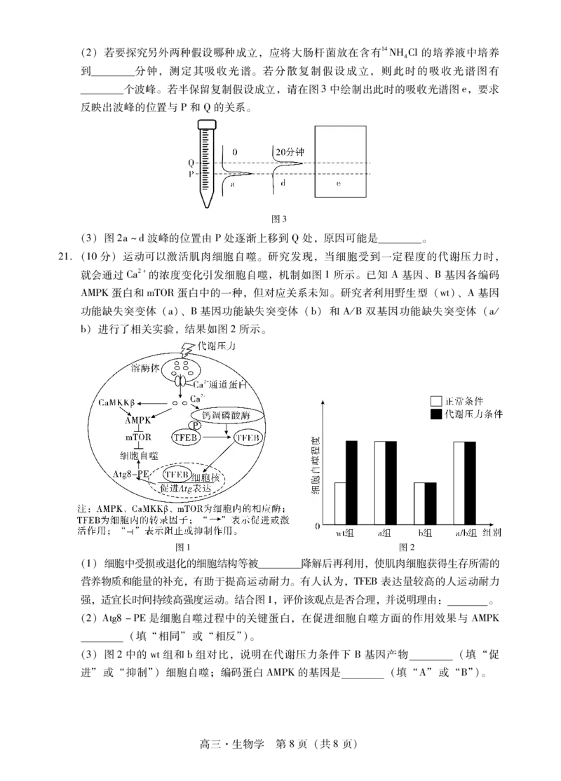 肇庆2025届高三一模&middot;生物学试卷_2024-2025高三（6-6月题库）_2024年11月试卷_1110广东省肇庆市2025届高中毕业班第一次模拟考试