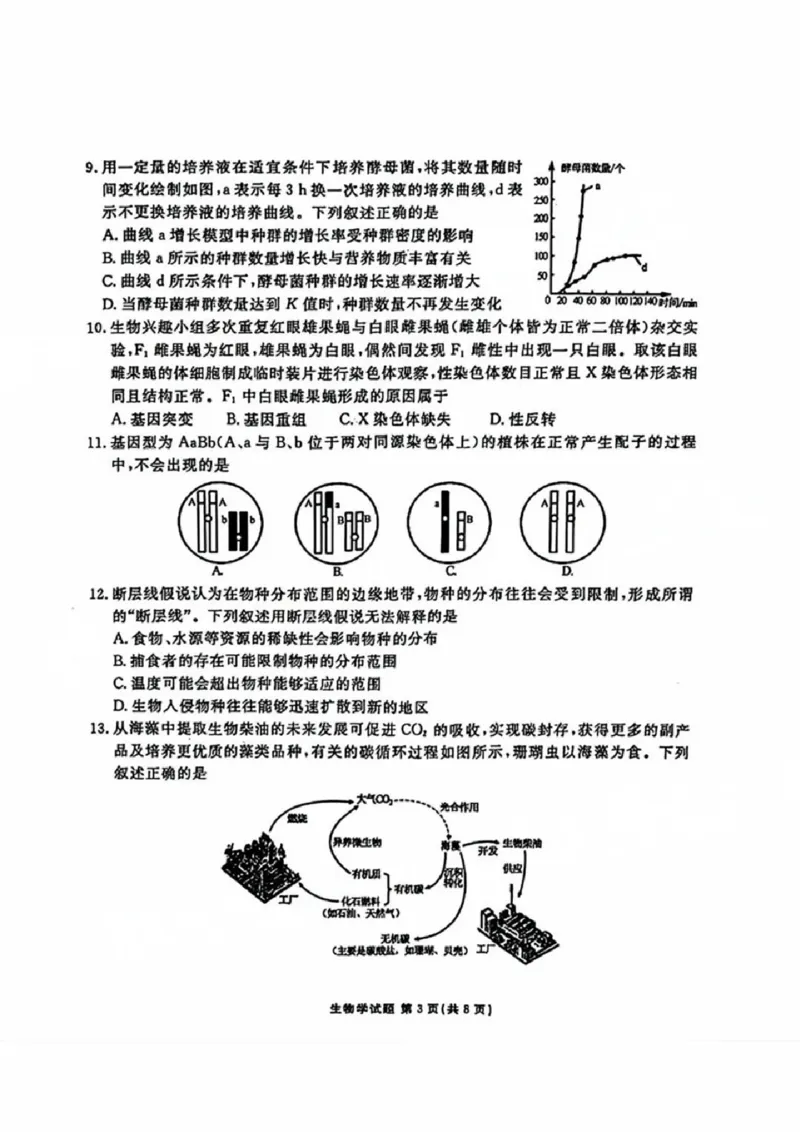 生物试卷_2024-2025高三（6-6月题库）_2024年09月试卷_0927广东2025届高三衡水金卷9月大联考_广东2025届高三衡水金卷9月大联考生物试卷+答案