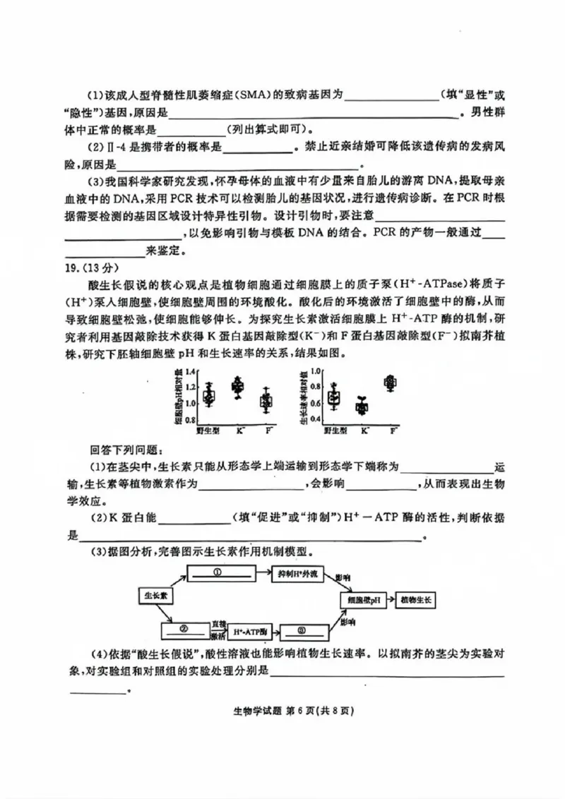 生物试卷_2024-2025高三（6-6月题库）_2024年09月试卷_0927广东2025届高三衡水金卷9月大联考_广东2025届高三衡水金卷9月大联考生物试卷+答案