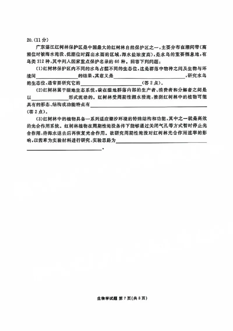 生物试卷_2024-2025高三（6-6月题库）_2024年09月试卷_0927广东2025届高三衡水金卷9月大联考_广东2025届高三衡水金卷9月大联考生物试卷+答案