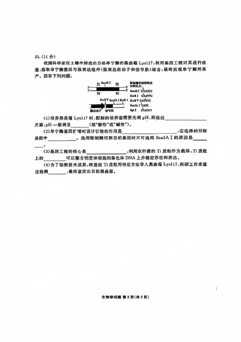 生物试卷_2024-2025高三（6-6月题库）_2024年09月试卷_0927广东2025届高三衡水金卷9月大联考_广东2025届高三衡水金卷9月大联考生物试卷+答案